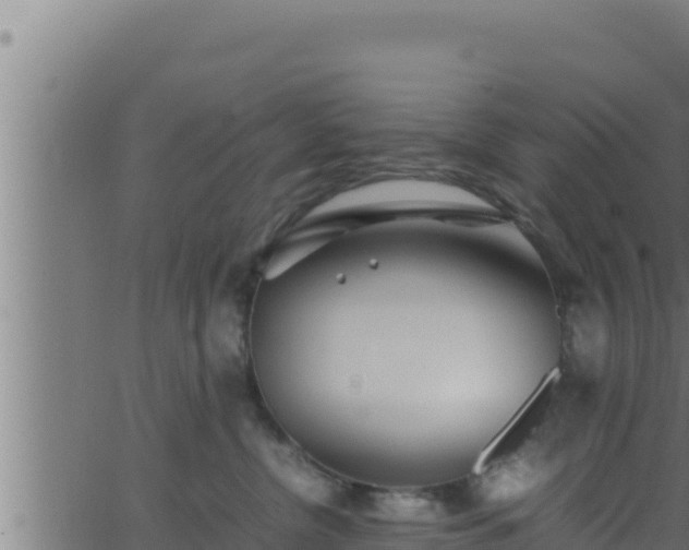 X0000062880380200601171454