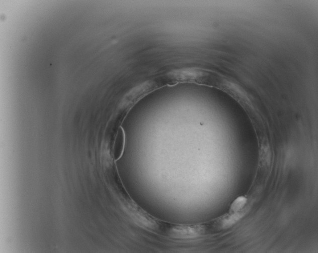 X0000062880381200601171454