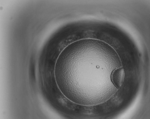 X0000062880382200601171454