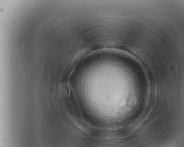 X0000062880383200601171454