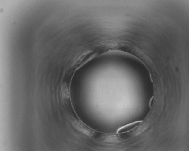 X0000062880384200601171454