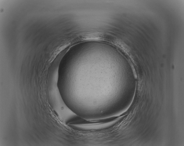 X0000062880385200601171453