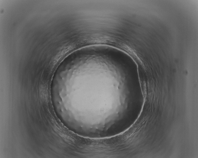 X0000062880386200601171453