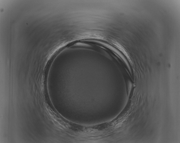 X0000062880387200601171453