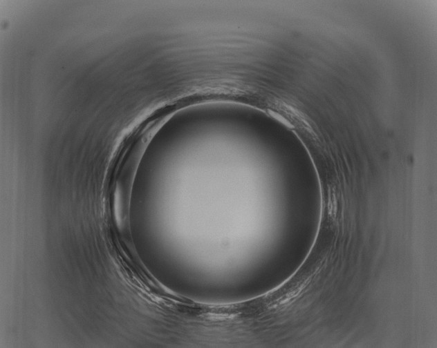 X0000062880388200601171453