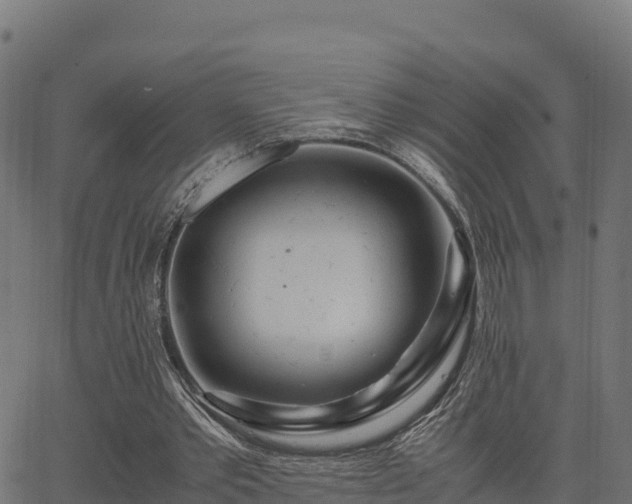 X0000062880389200601171453