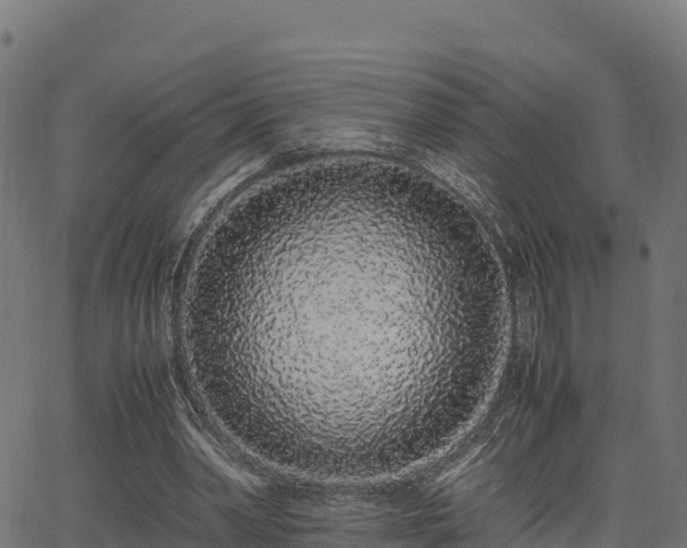 X0000062880390200601171453