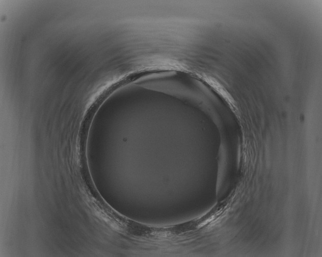 X0000062880391200601171453