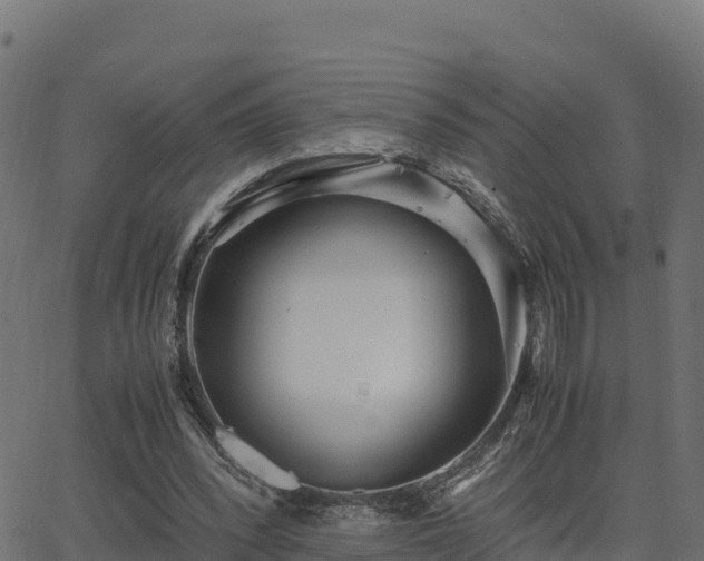 X0000062880392200601171453