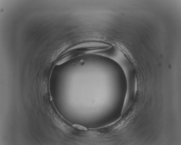 X0000062880393200601171453