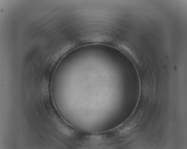 X0000062880394200601171453