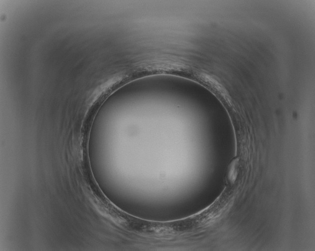 X0000062880395200601171453