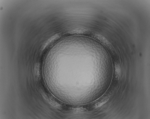 X0000062880396200601171453