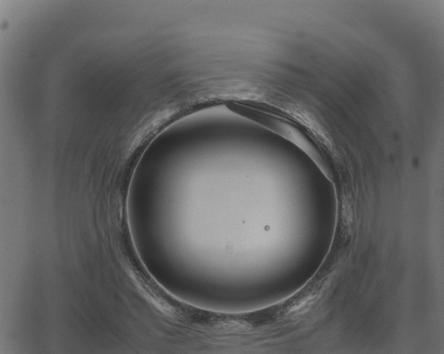 X0000062880397200601171453