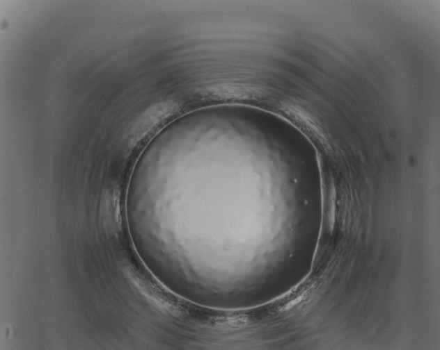 X0000062880398200601171453