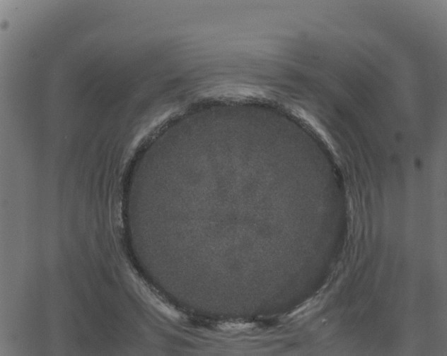 X0000062880399200601171453