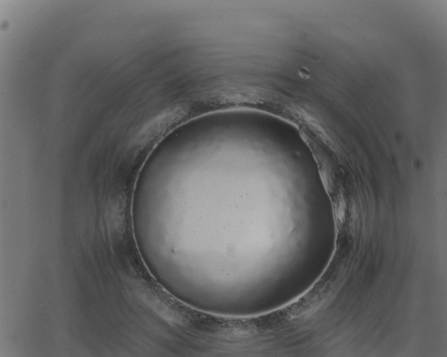 X0000062880402200601171453