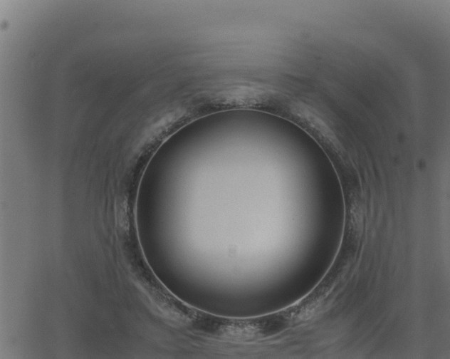 X0000062880403200601171453