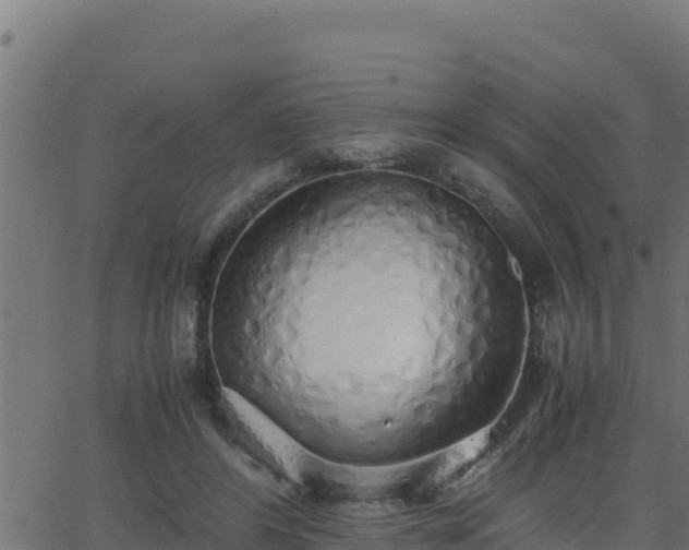 X0000062880404200601171453