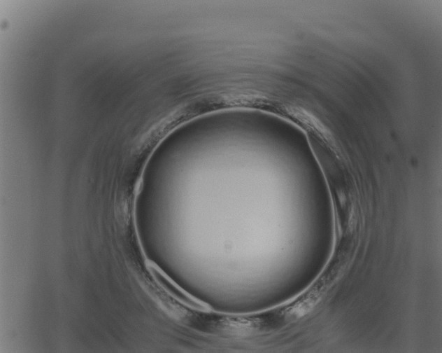 X0000062880405200601171453