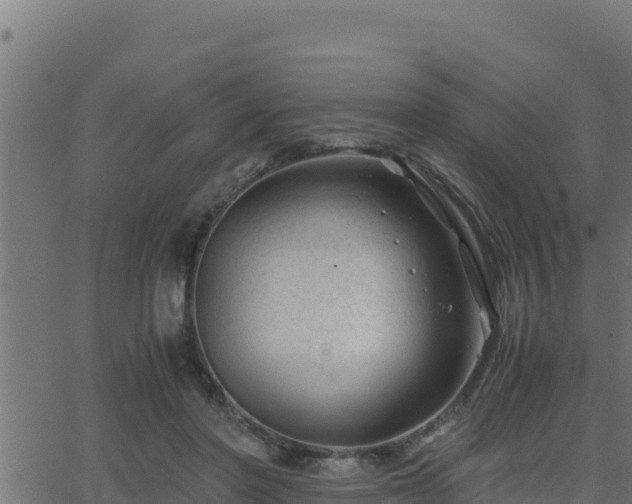 X0000062880406200601171453