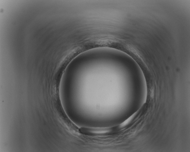 X0000062880407200601171453