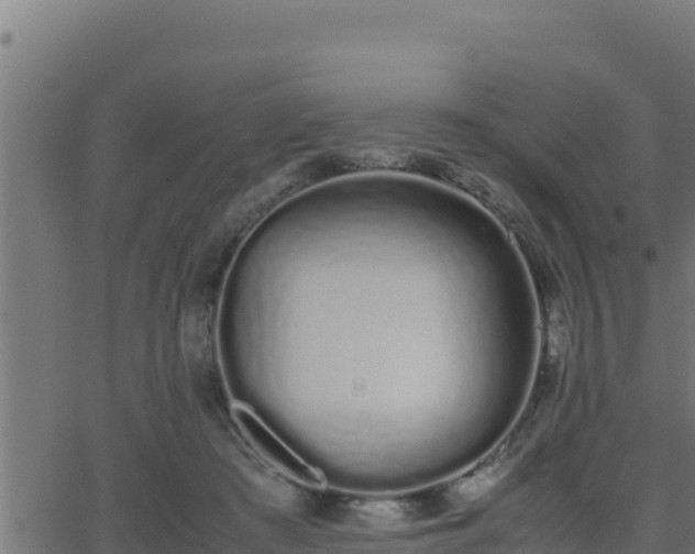 X0000062880409200601171453