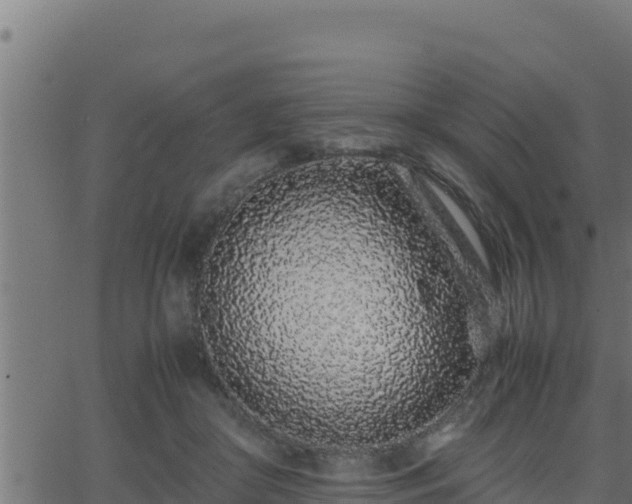 X0000062880410200601171453