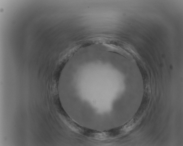 X0000062880411200601171453