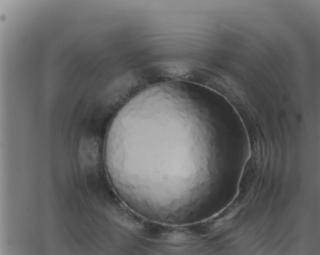 X0000062880412200601171452