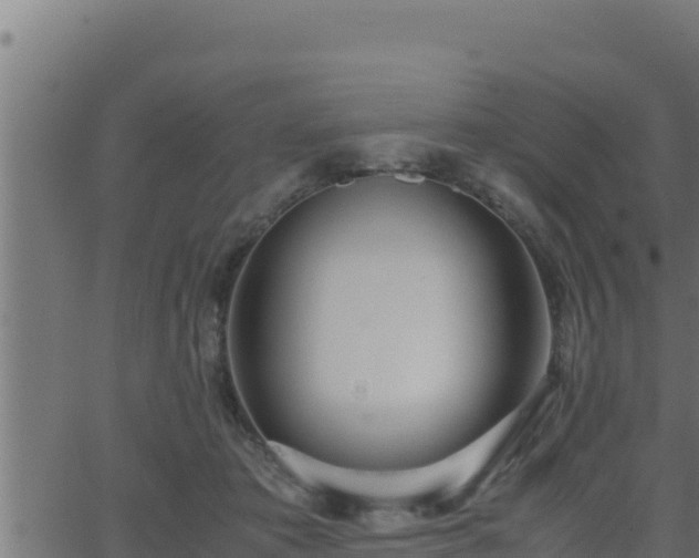 X0000062880413200601171452