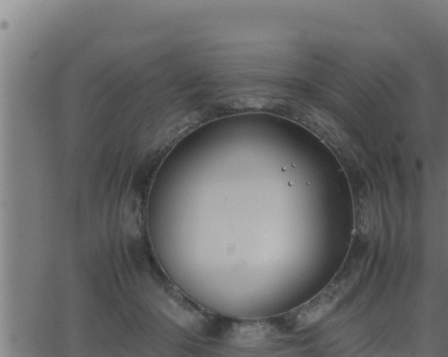 X0000062880414200601171452