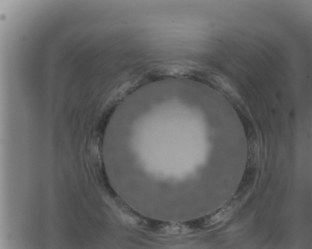 X0000062880415200601171452