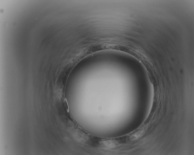 X0000062880417200601171452