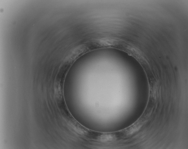 X0000062880418200601171452