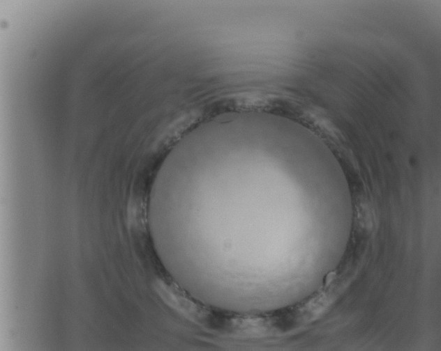 X0000062880419200601171452