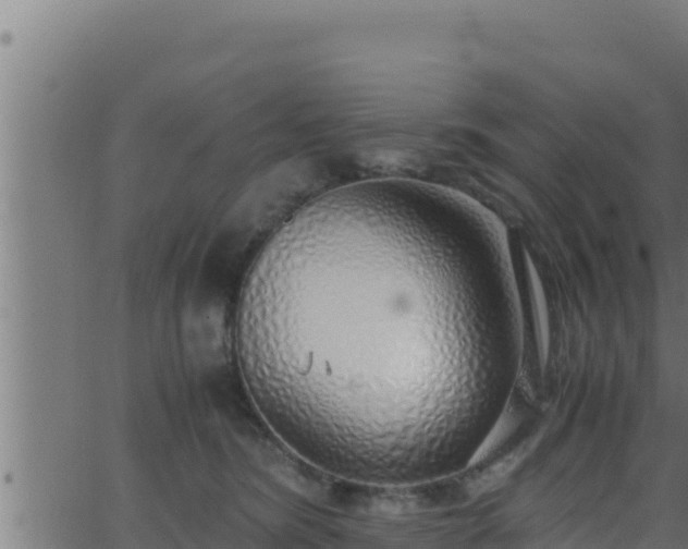 X0000062880420200601171452