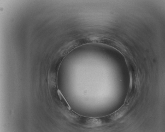 X0000062880421200601171452