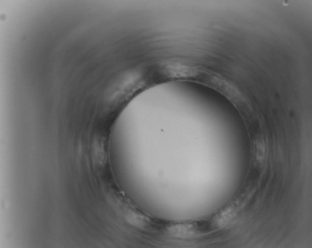 X0000062880422200601171452