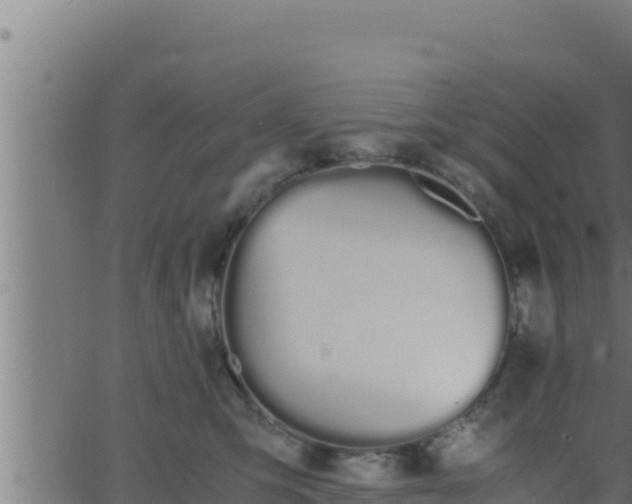 X0000062880423200601171452