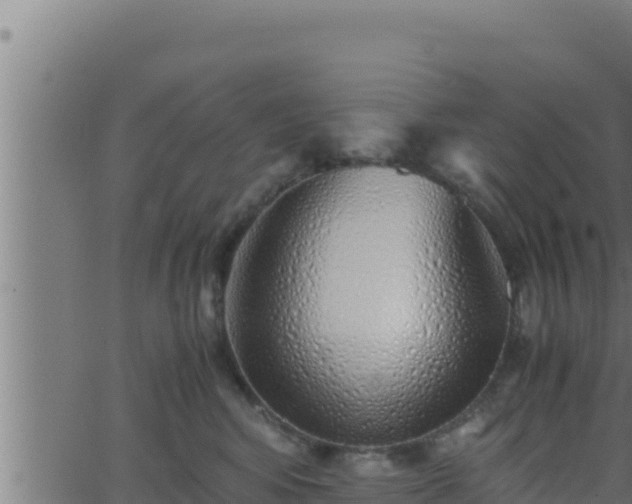 X0000062880424200601171452