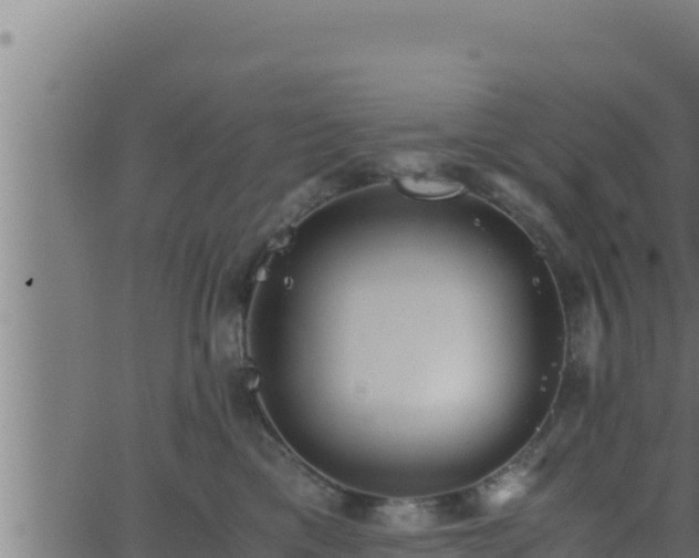 X0000062880425200601171452