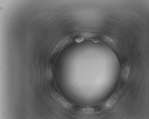 X0000062880426200601171452