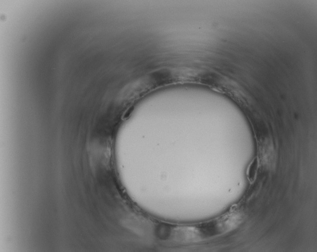 X0000062880427200601171452