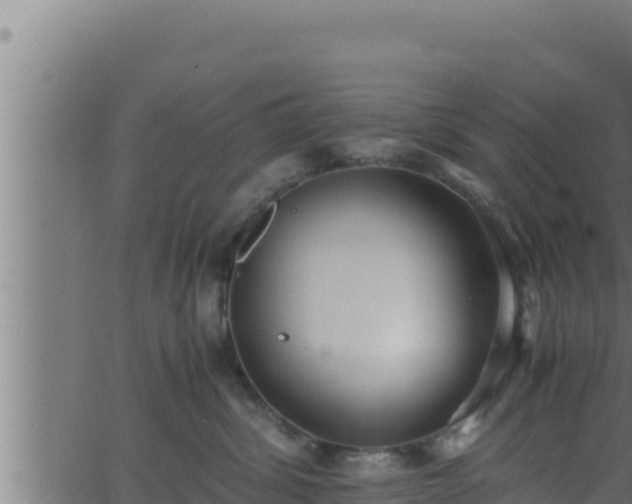 X0000062880428200601171452