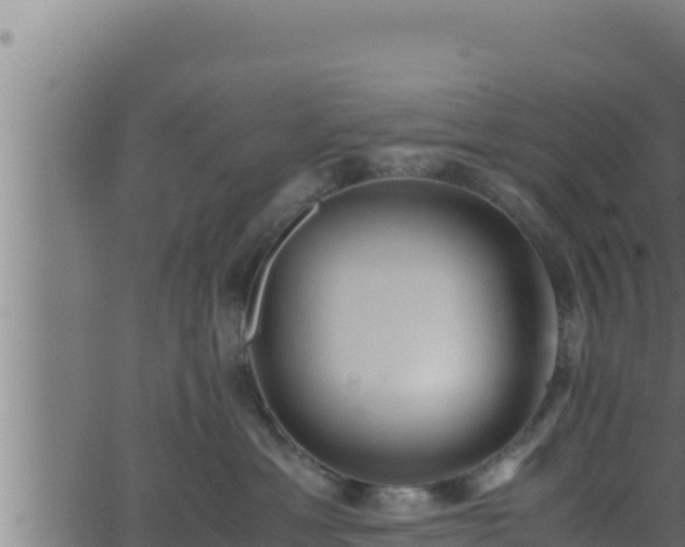 X0000062880429200601171452