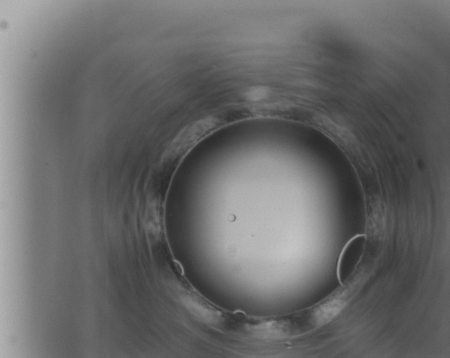 X0000062880430200601171452