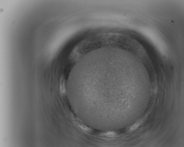 X0000062880431200601171452