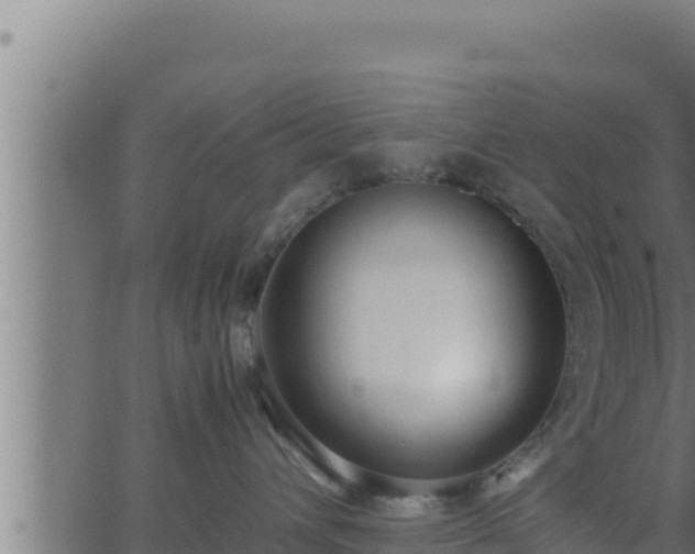 X0000062880432200601171452