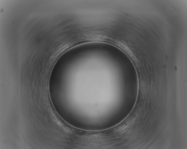 X0000062880433200601171451